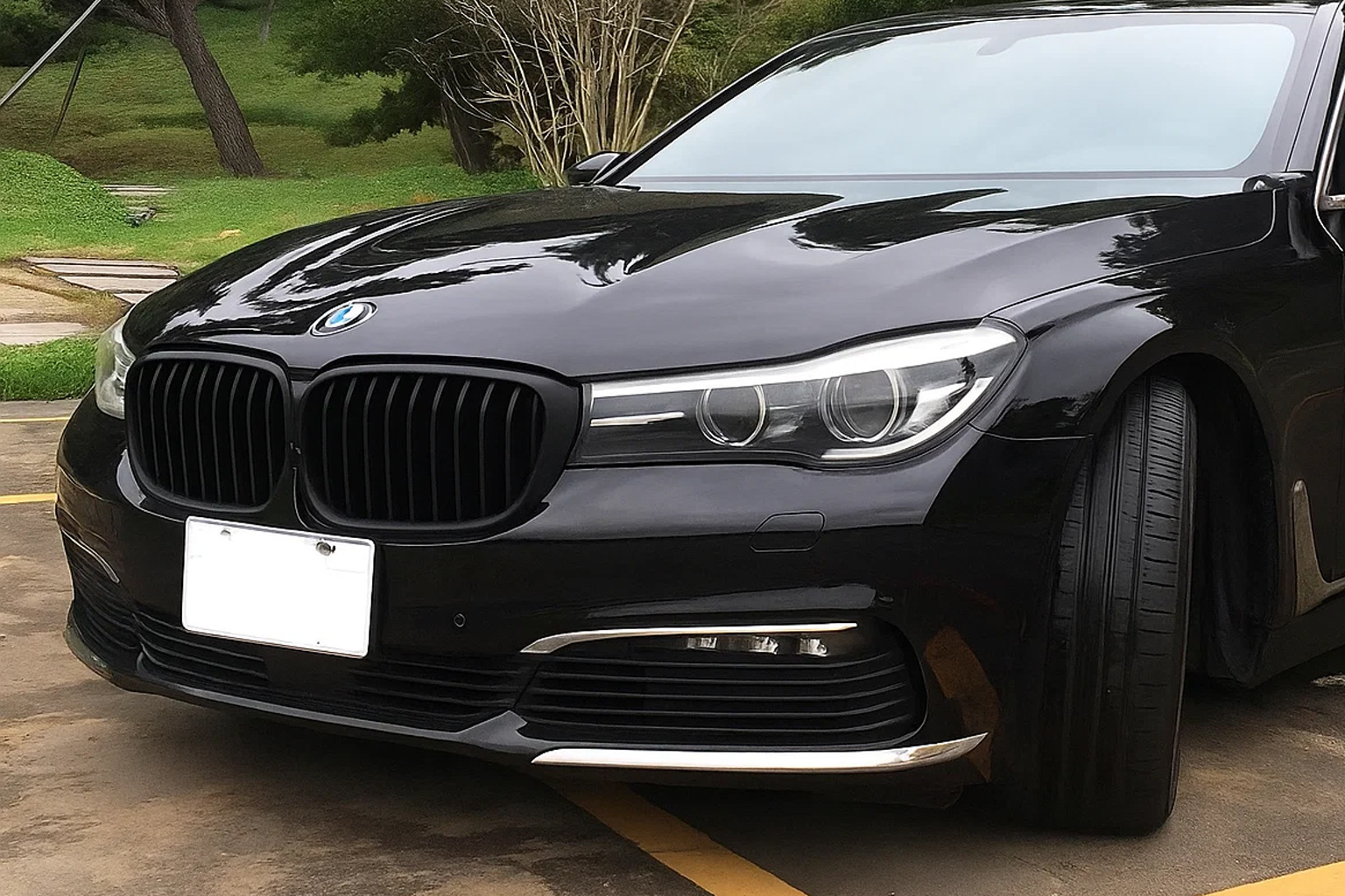 Ніздрі 1 Bar (2016-2019, чорний матовий) BMW 7 серия G11/G12 2015-2022 гг.