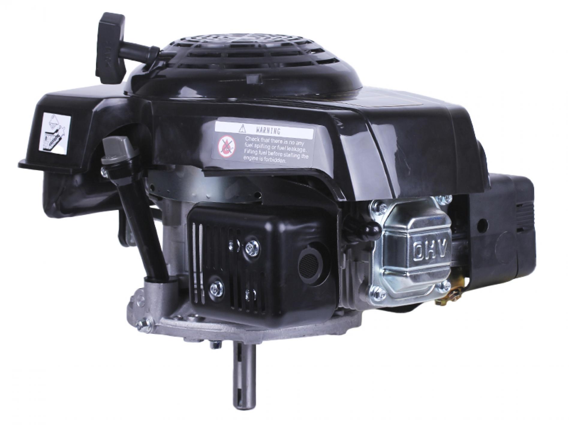 Двигатель м/б 1P65F ( с вертикальным валом под шпонку, 22 мм) AMG