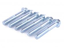 Болты крепления боковой крышки двигателя м/б P70F (6 шт.) AMG