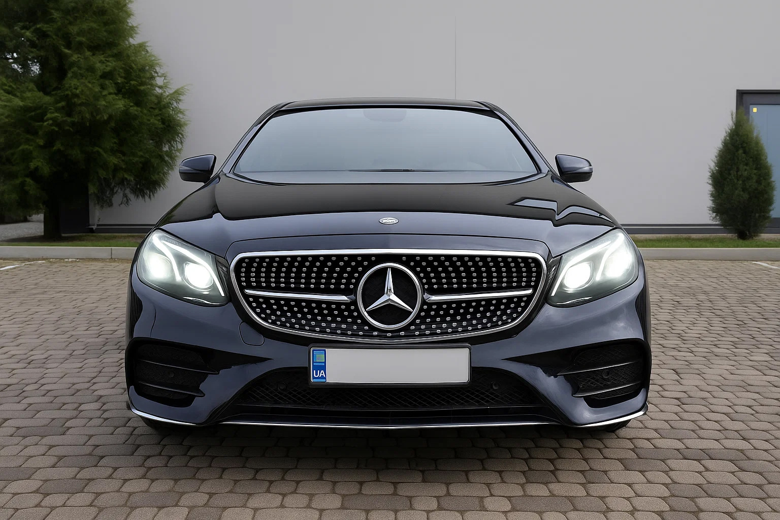 Передня решітка Diamond Silver (для Avantgarde і AMG-Line, 2013-2016) для Mercedes E-class W212 рр