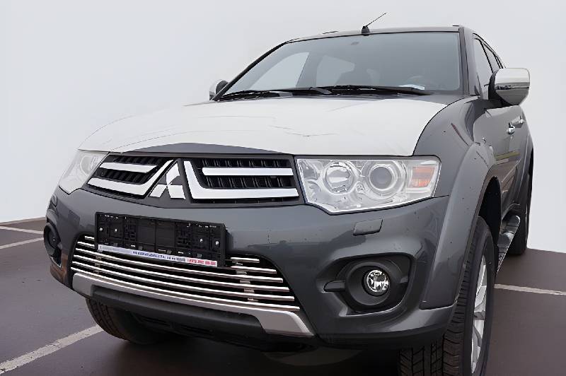 Передня решітка-захист Mitsubishi Pajero Sport 2008-2015 рр.