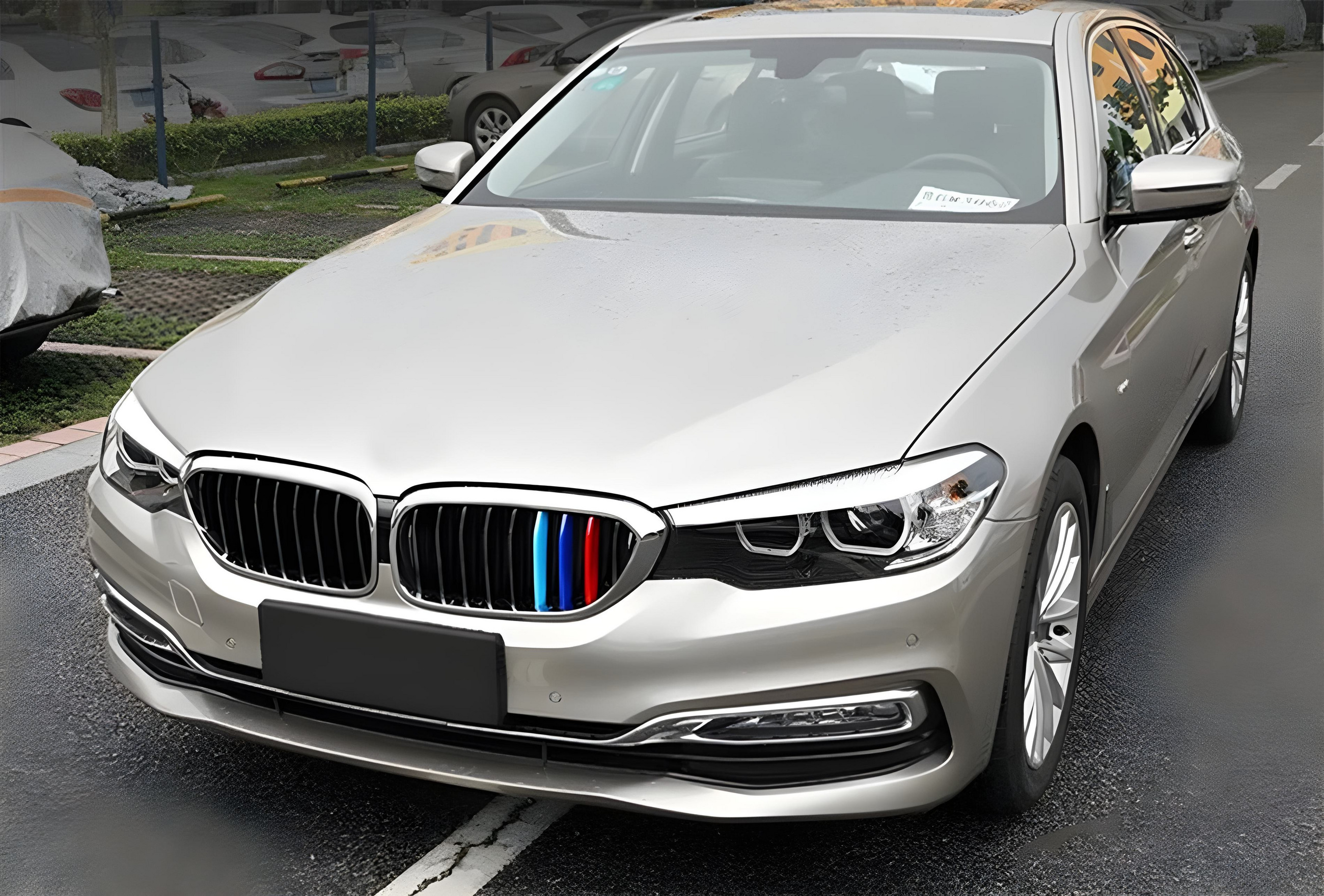 Ніздрі 1 Bar (2017-2020, M-Color з хром окантовкою) BMW 5 серия G30/G31 2017–2023 гг.