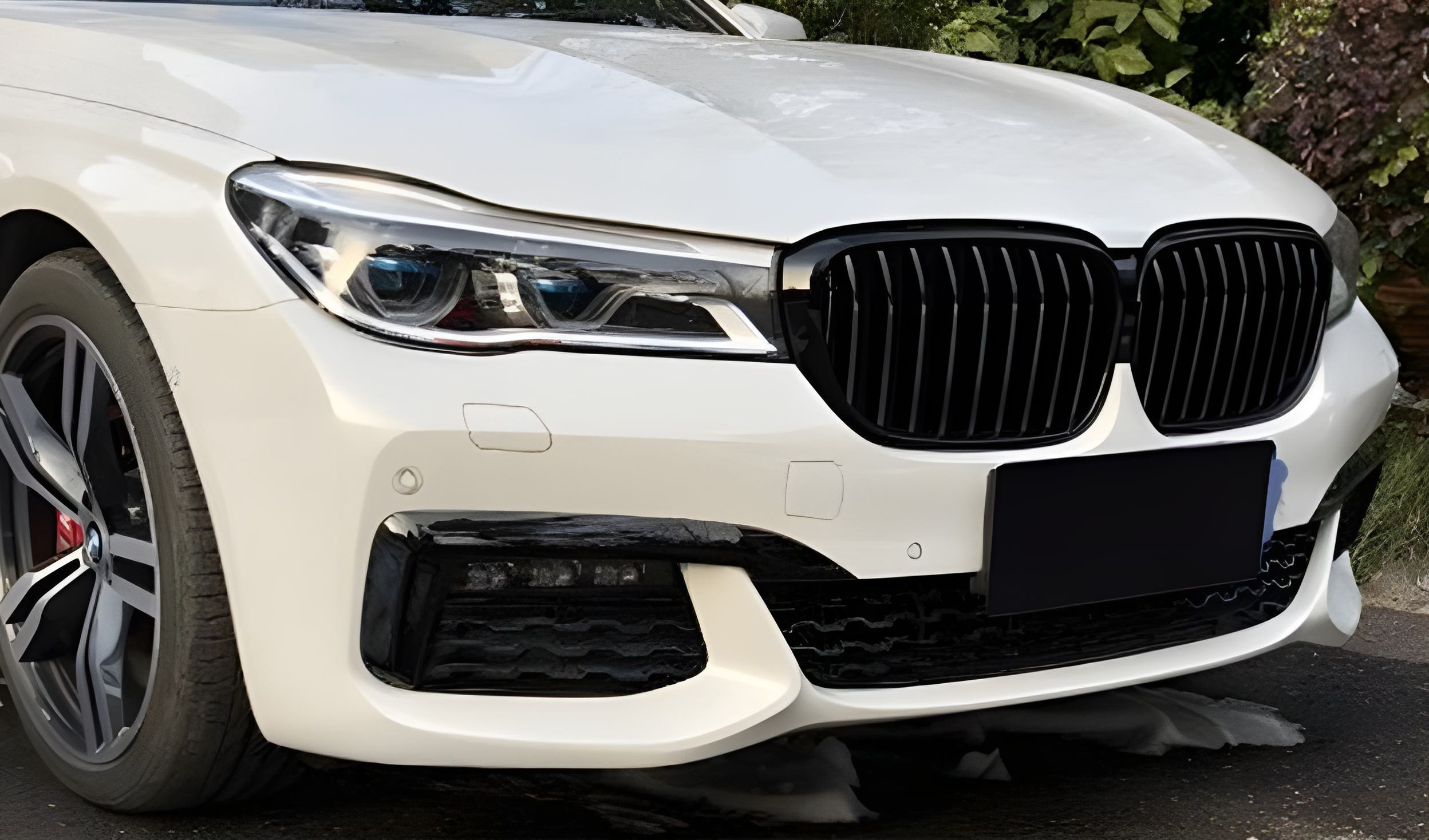Ніздрі 1 Bar (2016-2019, чорний глянець) BMW 7 серия G11/G12 2015-2022 гг.