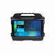 Штатна магнітола Torssen 2K Kia Sportage 2009-2016 F98256 4G Carplay DSP